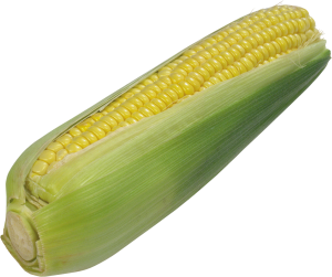 Corn PNG image-5278